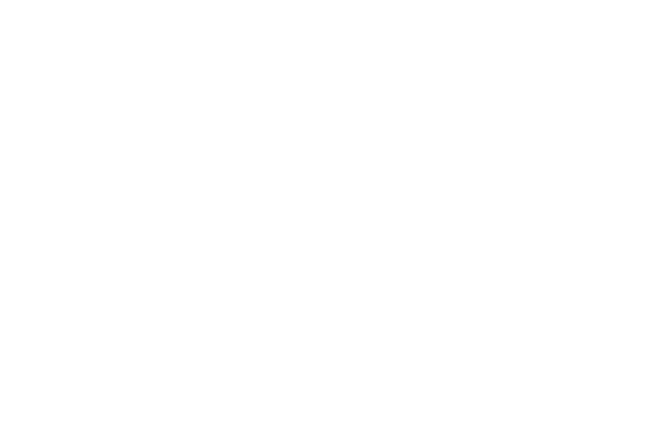 Vanoucuver Canucks orca logo