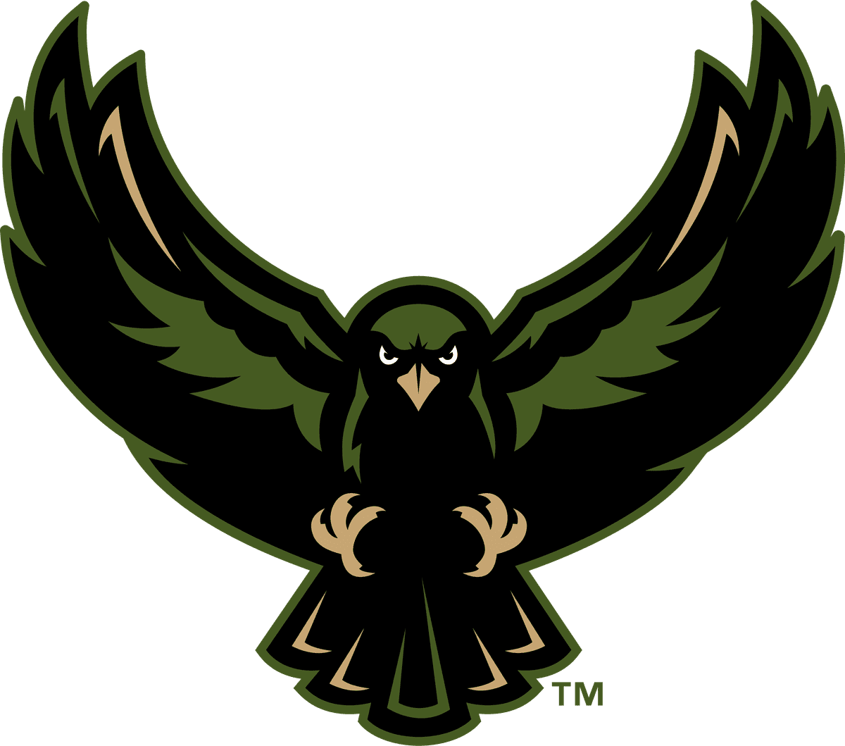 Rochester Knighthawks