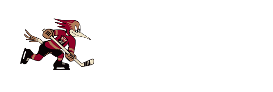 Tucson Roadrunners vs. abbotsford canucks December 20, 2024 18:00:00