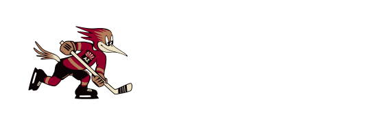 Tucson Roadrunners vs. abbotsford canucks December 21, 2024 14:00:00